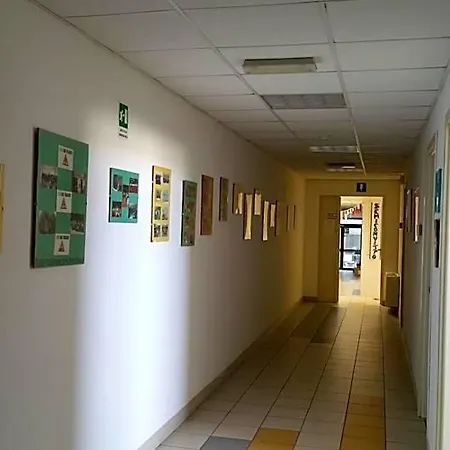Ipsia אכסניה